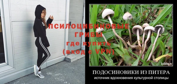 крисы Кодинск