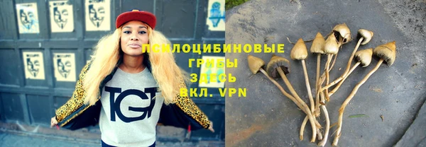 крисы Кодинск