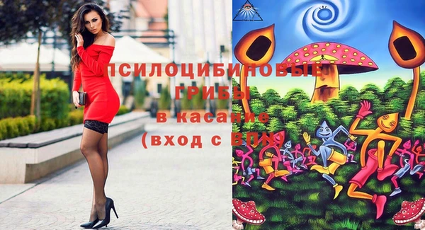 крисы Кодинск